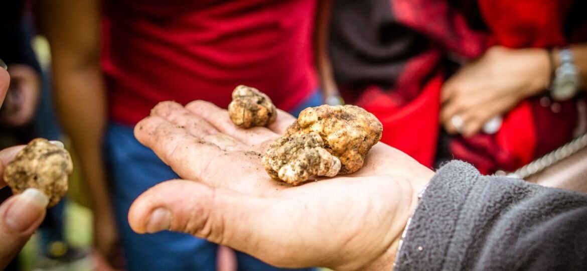 2021 - Κυνήγι Τρούφας - 1