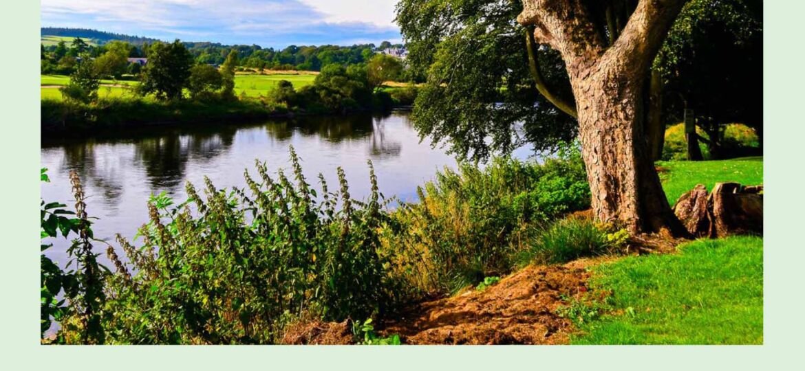 Εξώφυλλο Όλα γίνονται για κάποιο λόγο