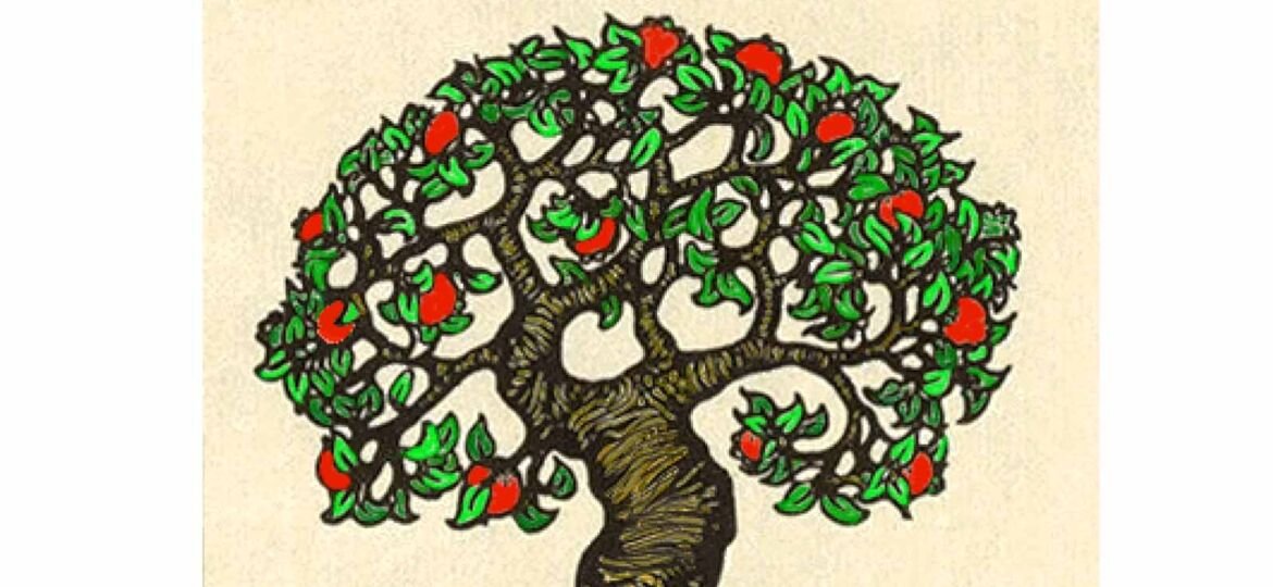 Εξώφυλλο Με περίσκεψη