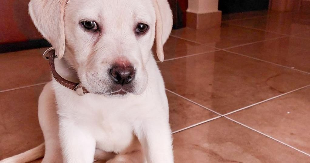 813853e3-5bac-4d6d-a776-e6f6198e07b5