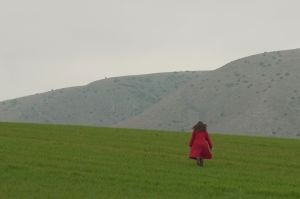 REBEARTH | Ένα έργο σε εξέλιξη για την κλιματική κρίση