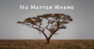 No Matter Where: Μια Φωτογραφική Έκθεση με Μήνυμα για την Οικογένεια και τη Διατήρηση του Περιβάλλοντος.