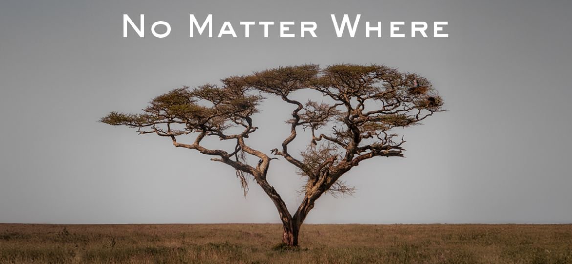 No Matter Where: Μια Φωτογραφική Έκθεση με Μήνυμα για την Οικογένεια και τη Διατήρηση του Περιβάλλοντος.