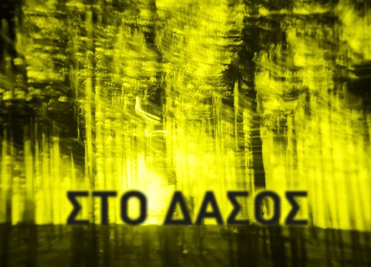 «Στο Δάσος» από τον Νάσο Αρώνη